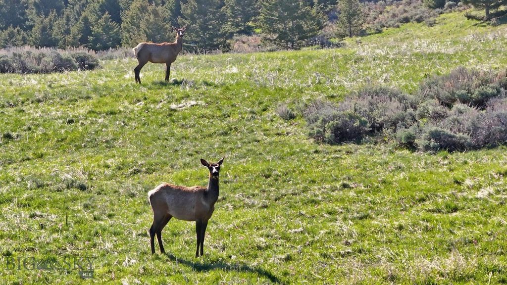 72 Sky Band Trail, Livingston, MT 59047 photo 34
