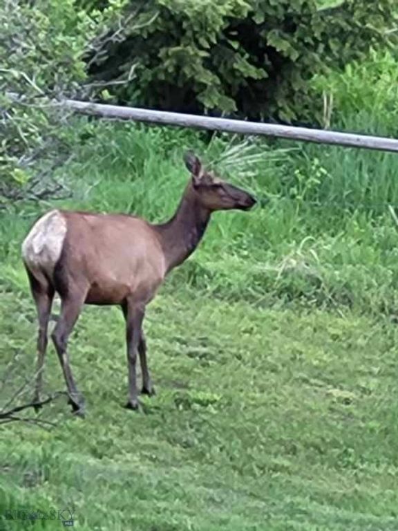 72 Sky Band Trail, Livingston, MT 59047 photo 42