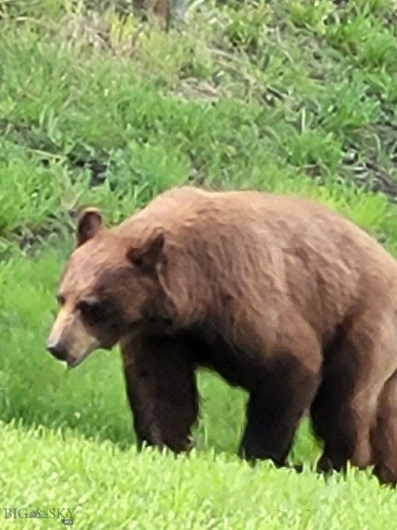 72 Sky Band Trail, Livingston, MT 59047 photo 43