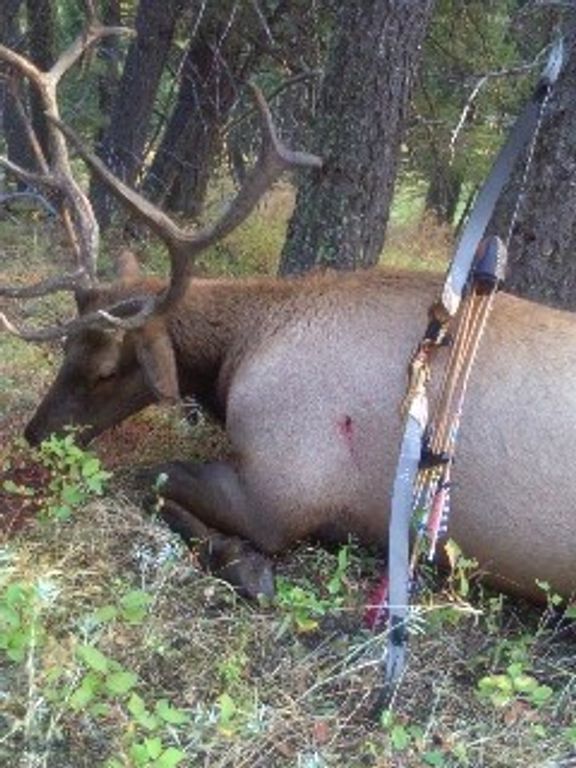 72 Sky Band Trail, Livingston, MT 59047 photo 44