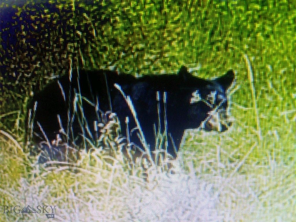 72 Sky Band Trail, Livingston, MT 59047 photo 47