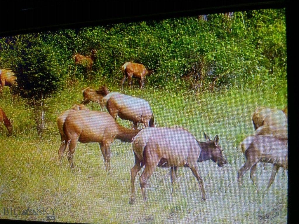 72 Sky Band Trail, Livingston, MT 59047 photo 48