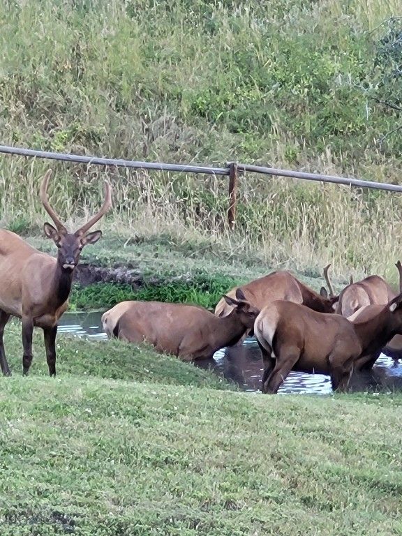 72 Sky Band Trail, Livingston, MT 59047 photo 49