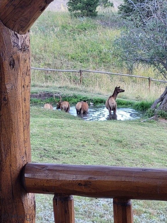72 Sky Band Trail, Livingston, MT 59047 photo 50