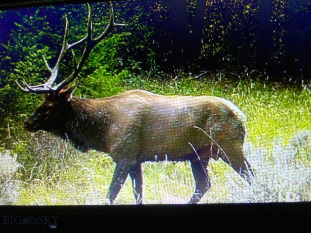 72 Sky Band Trail, Livingston, MT 59047 photo 51