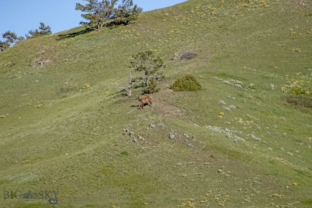 72 Sky Band Trail, Livingston, MT 59047 photo 74