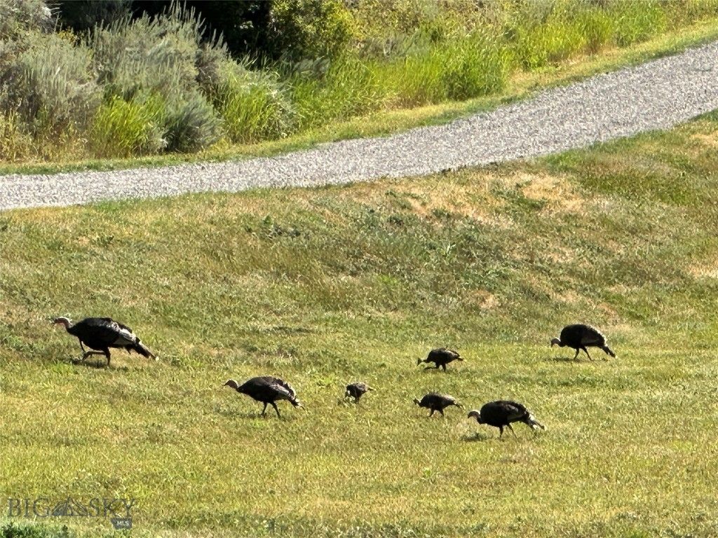72 Sky Band Trail, Livingston, MT 59047 photo 93