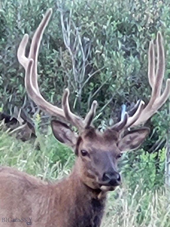72 Sky Band Trail, Livingston, MT 59047 photo 94