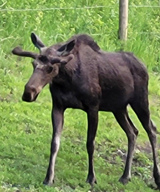 72 Sky Band Trail, Livingston, MT 59047 photo 95