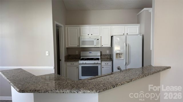 12045 Evergreen Hollow Drive, Charlotte, NC 28269