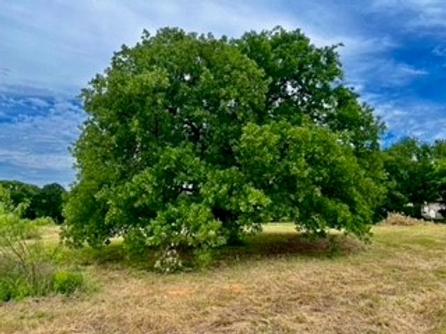 3635 County Road 424, Cleburne, TX 76031