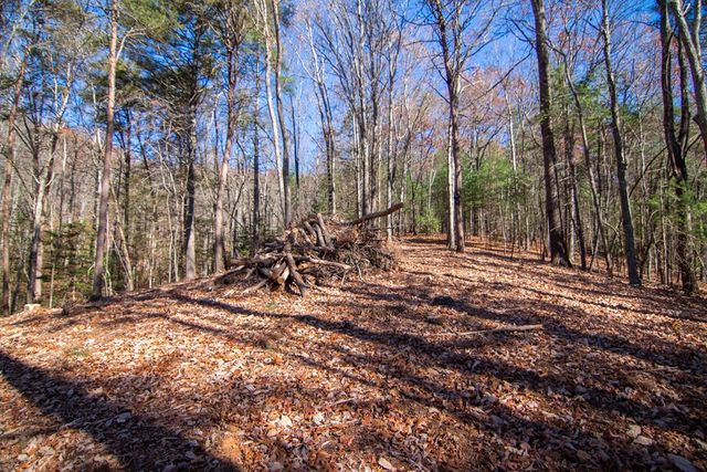 Lot 2A Clay's Way, Blue Ridge, GA 30513