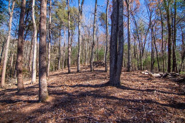 Lot 2A Clay's Way, Blue Ridge, GA 30513