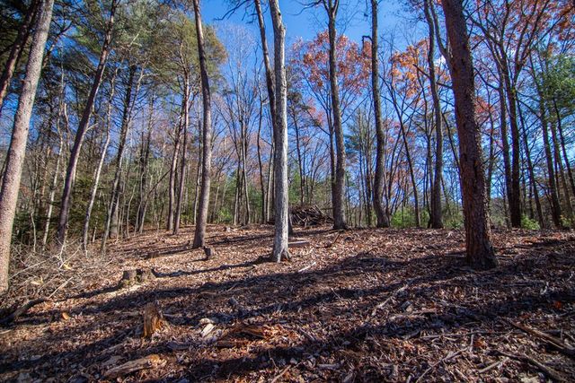 Lot 2A Clay's Way, Blue Ridge, GA 30513