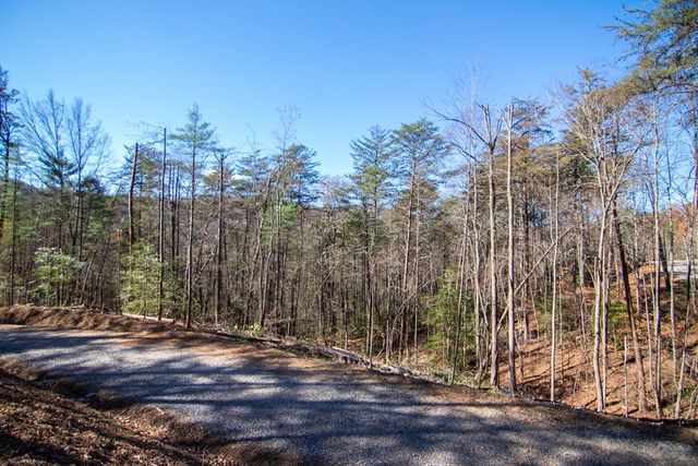 Lot 2A Clay's Way, Blue Ridge, GA 30513