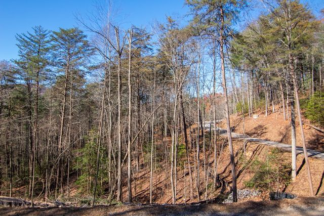 Lot 2A Clay's Way, Blue Ridge, GA 30513