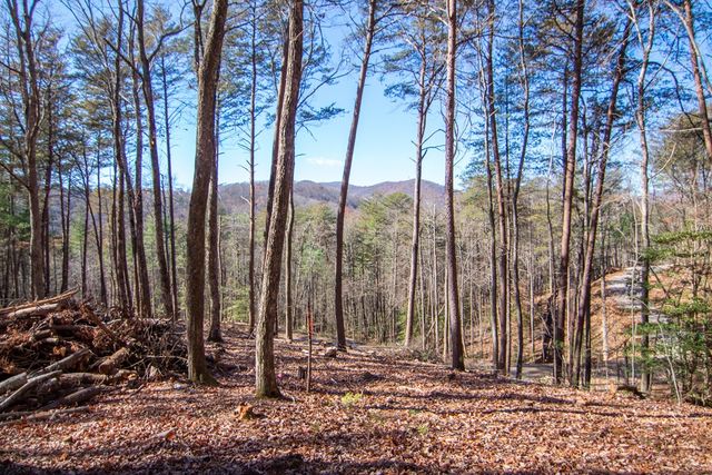 Lot 2A Clay's Way, Blue Ridge, GA 30513