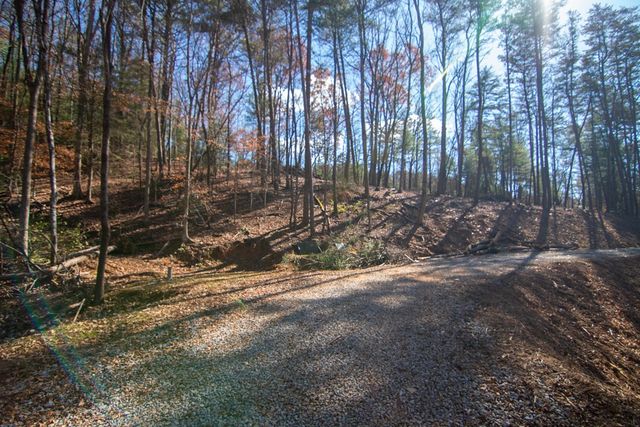 Lot 2A Clay's Way, Blue Ridge, GA 30513
