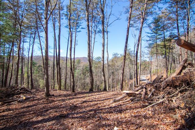 Lot 2A Clay's Way, Blue Ridge, GA 30513