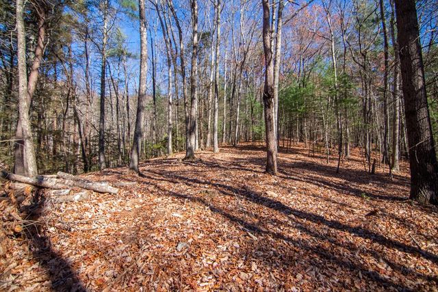 Lot 2A Clay's Way, Blue Ridge, GA 30513
