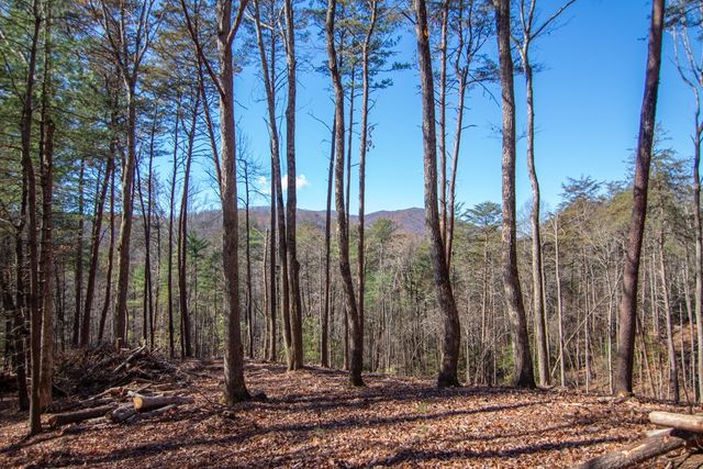 Lot 2A Clay's Way, Blue Ridge, GA 30513