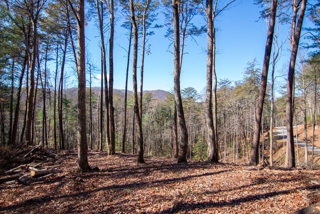 Lot 2A Clay's Way, Blue Ridge, GA 30513