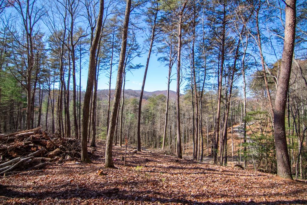 Lot 2A Clay's Way, Blue Ridge, GA 30513
