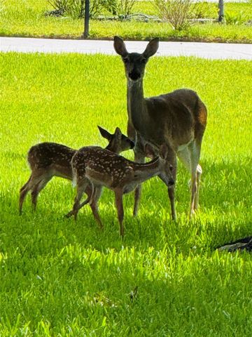 8703 Majesty Lane, Richmond, TX 77469