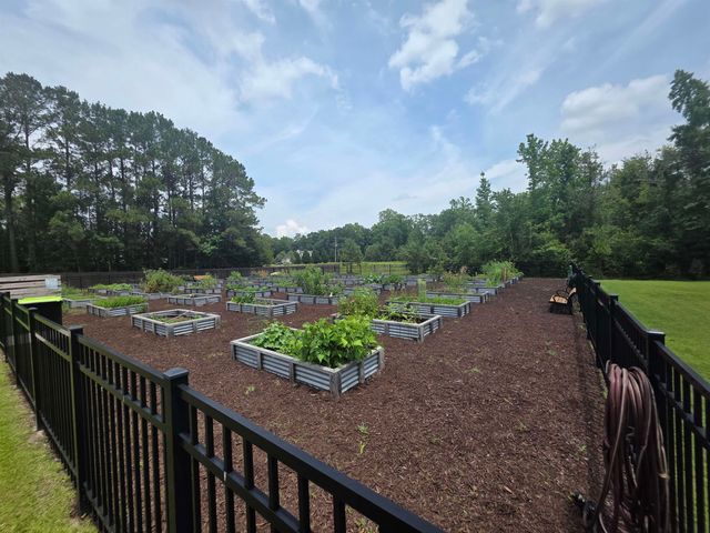 145 Cypress Tree Loop, Longs, SC 29568