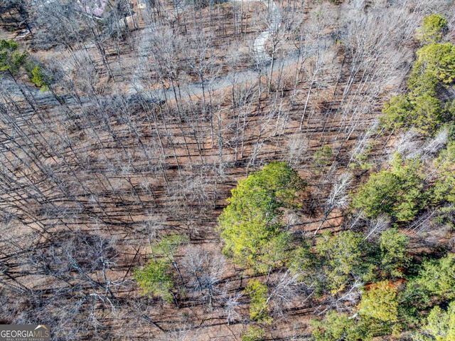 399 Buck Trail, Hoschton, GA 30548
