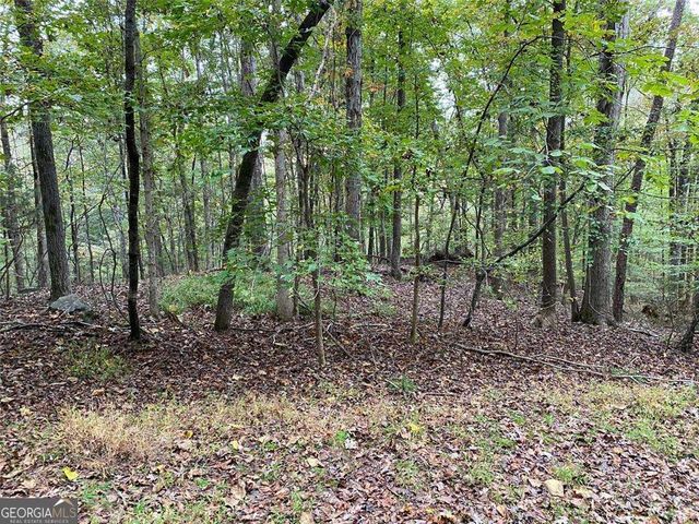 399 Buck Trail, Hoschton, GA 30548