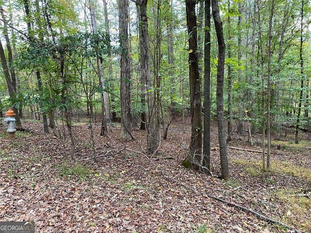 399 Buck Trail, Hoschton, GA 30548