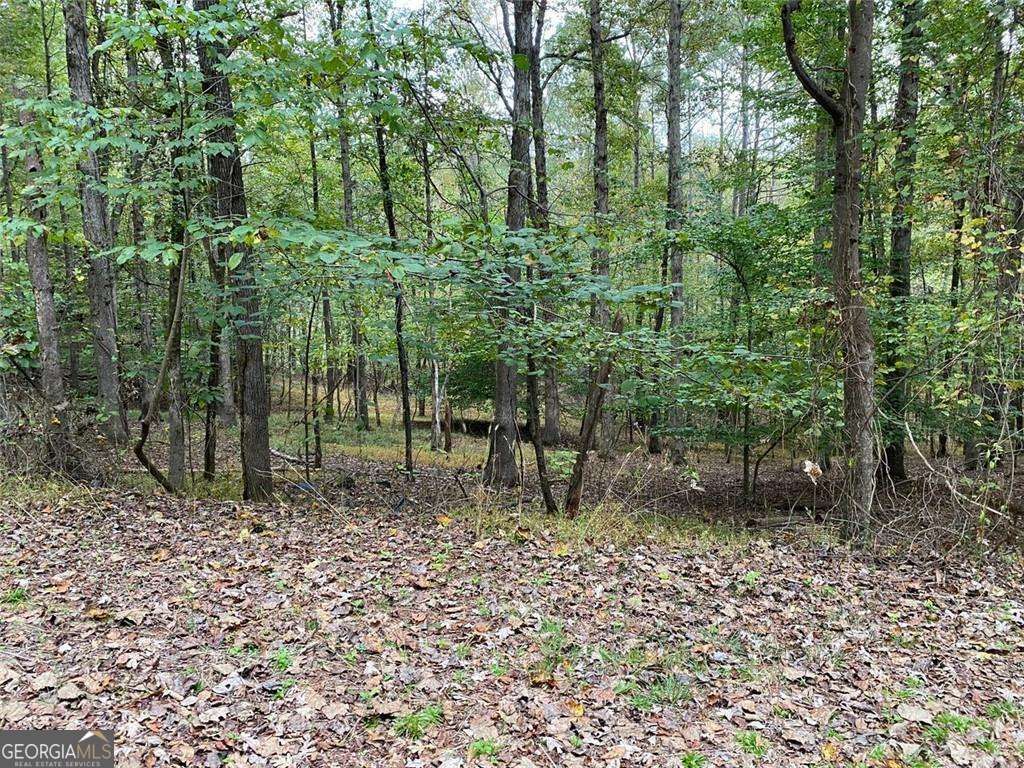 399 Buck Trail, Hoschton, GA 30548
