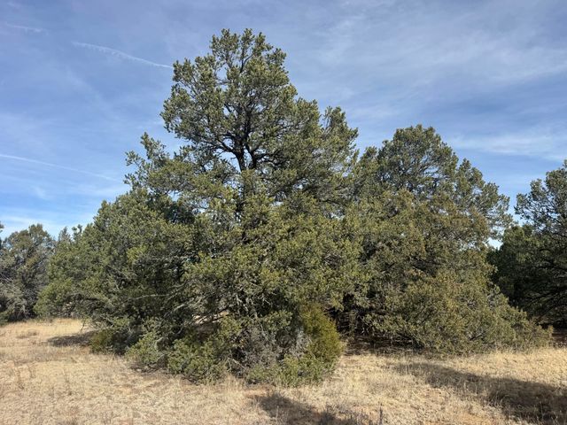 78 Candelaria Road, Tijeras, NM 87059