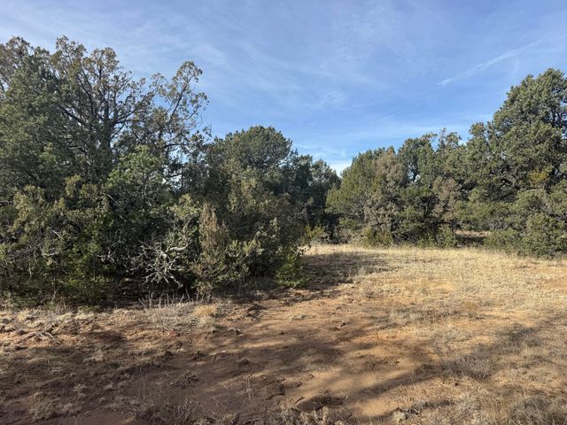 78 Candelaria Road, Tijeras, NM 87059