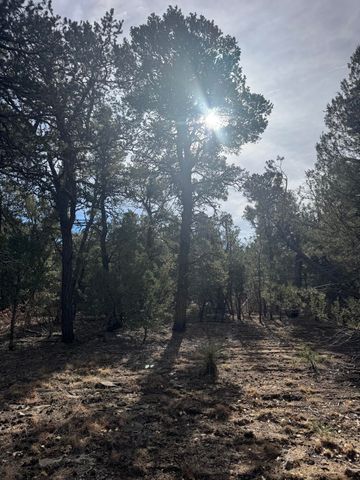 78 Candelaria Road, Tijeras, NM 87059