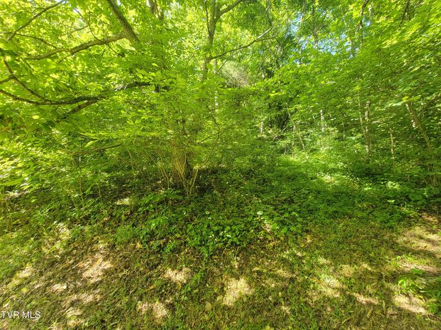19370 Us Highway 23, Duffield, VA 24244