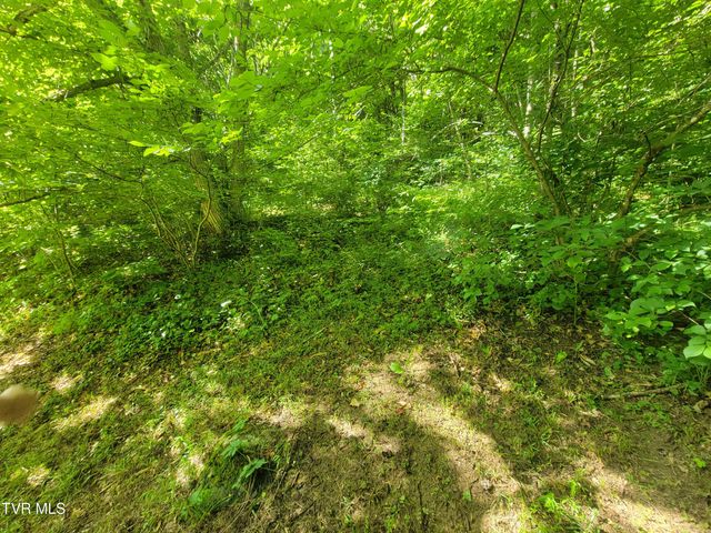 19370 Us Highway 23, Duffield, VA 24244