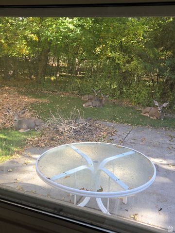 3252 N 600 W, Pleasant View, UT 84414