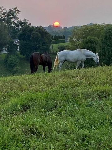 4301 Spencer Pike, Mt Sterling, KY 40353