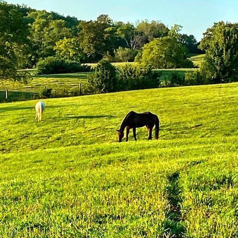 4301 Spencer Pike, Mt Sterling, KY 40353