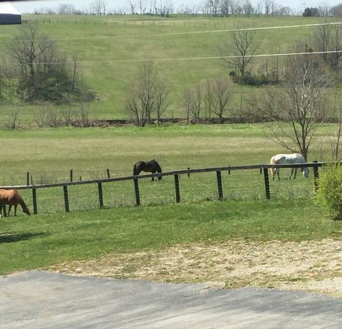 4301 Spencer Pike, Mt Sterling, KY 40353