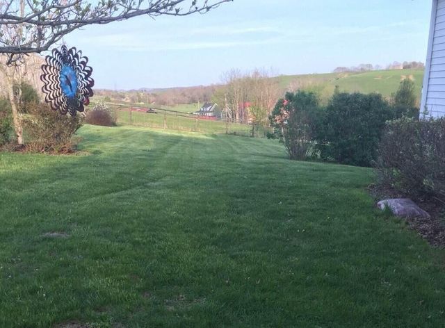 4301 Spencer Pike, Mt Sterling, KY 40353