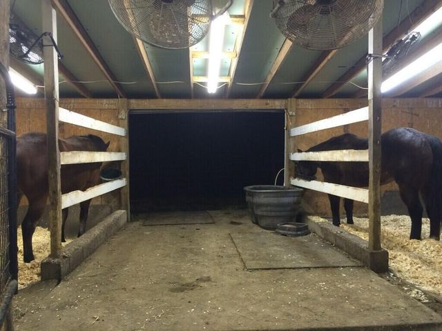 4301 Spencer Pike, Mt Sterling, KY 40353