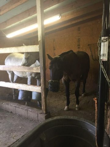 4301 Spencer Pike, Mt Sterling, KY 40353