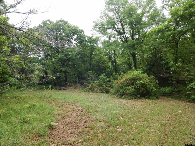 146 CR 1215, Quitman, TX 75783