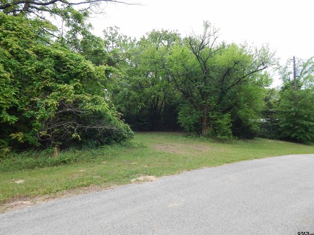146 CR 1215, Quitman, TX 75783