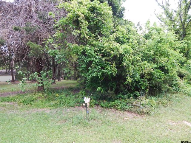 146 CR 1215, Quitman, TX 75783