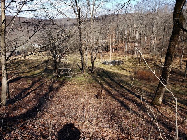 348 Frankfort Springs Drive, Hanover Twp, PA 15043