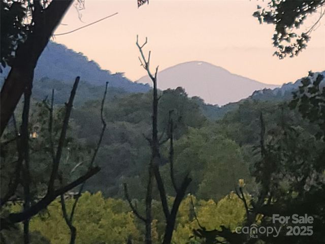 0 Blink Bonny Drive B11, Waynesville, NC 28786